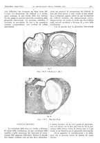 giornale/CFI0361052/1940/unico/00000399