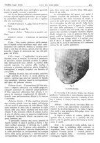 giornale/CFI0361052/1940/unico/00000447