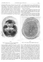 giornale/CFI0361052/1940/unico/00000483