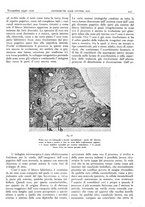 giornale/CFI0361052/1940/unico/00000491