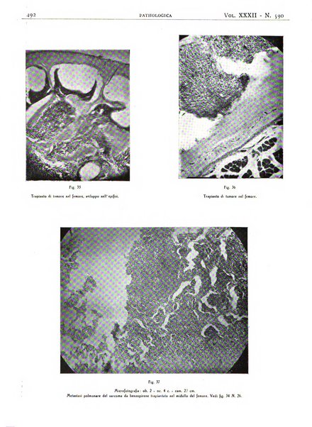 Pathologica rivista quindicinale