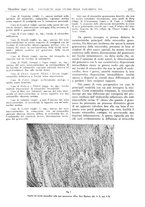 giornale/CFI0361052/1940/unico/00000557