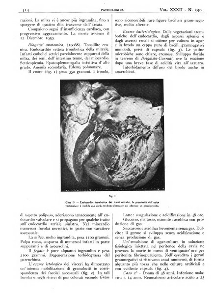 Pathologica rivista quindicinale