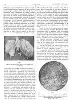 giornale/CFI0361052/1941/unico/00000036