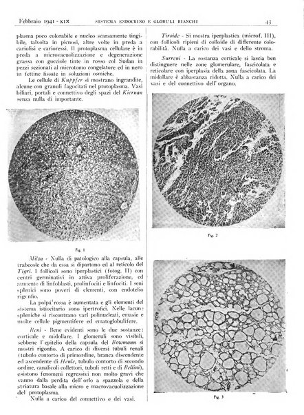 Pathologica rivista quindicinale