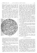 giornale/CFI0361052/1941/unico/00000057