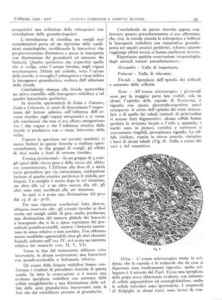 Pathologica rivista quindicinale