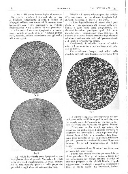 Pathologica rivista quindicinale