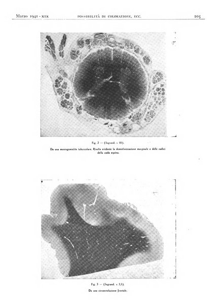 Pathologica rivista quindicinale