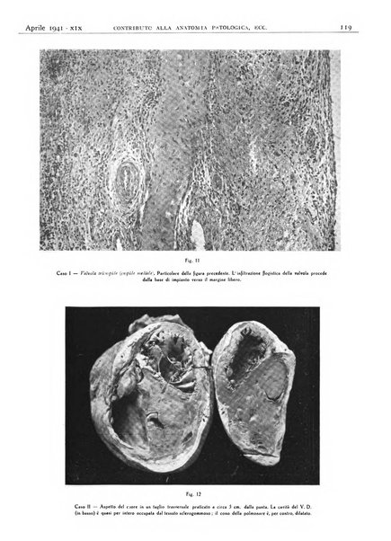 Pathologica rivista quindicinale