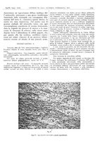 giornale/CFI0361052/1941/unico/00000147