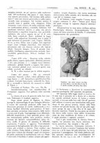 giornale/CFI0361052/1941/unico/00000172