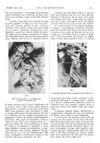 giornale/CFI0361052/1941/unico/00000173