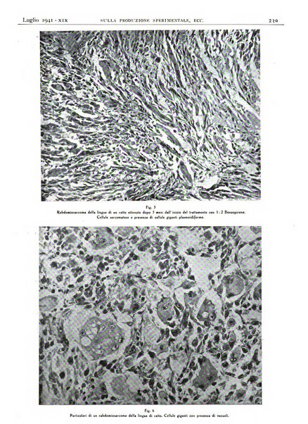 Pathologica rivista quindicinale