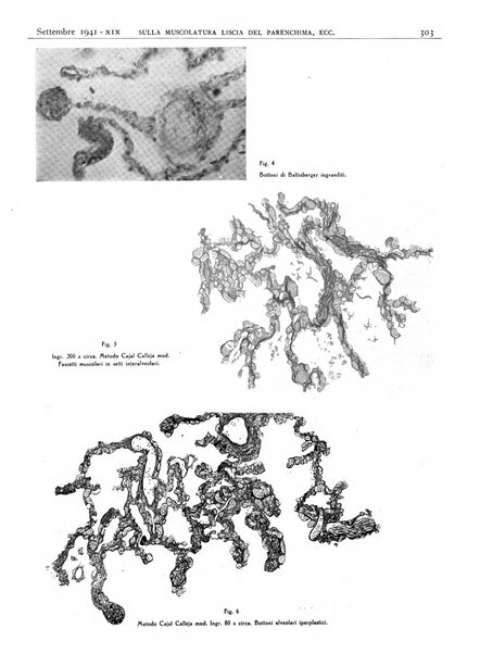 Pathologica rivista quindicinale