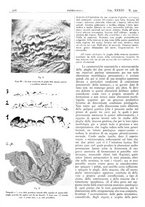 giornale/CFI0361052/1941/unico/00000354