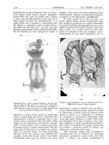 Pathologica rivista quindicinale