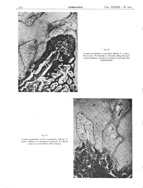 Pathologica rivista quindicinale