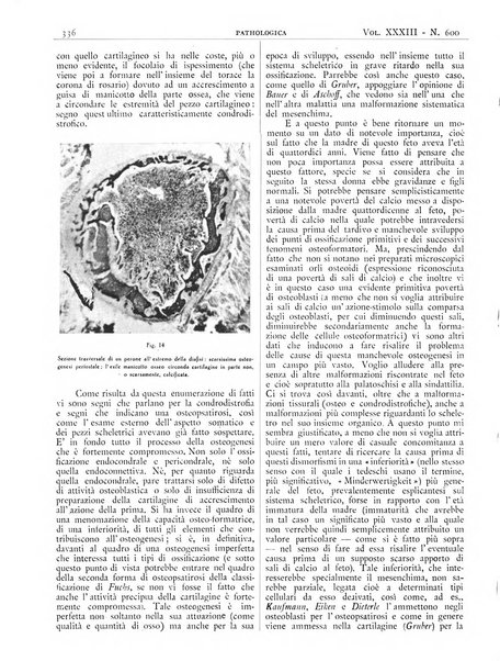 Pathologica rivista quindicinale