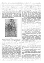 giornale/CFI0361052/1941/unico/00000437