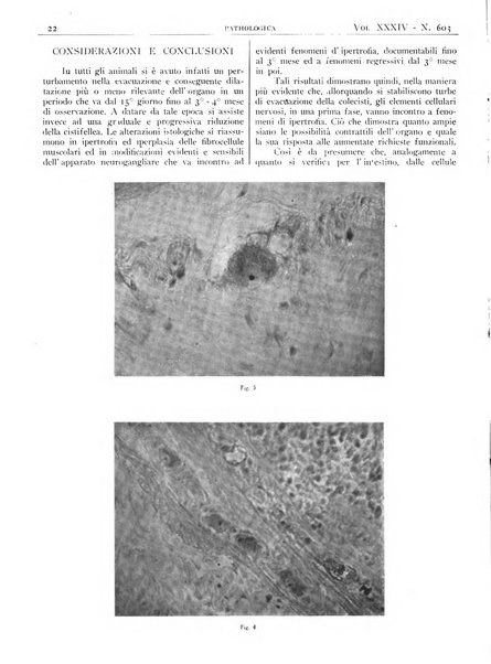 Pathologica rivista quindicinale