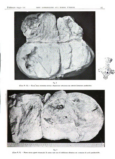 Pathologica rivista quindicinale