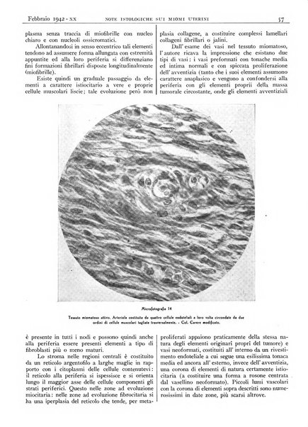 Pathologica rivista quindicinale