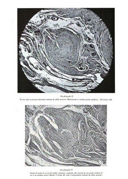 Pathologica rivista quindicinale