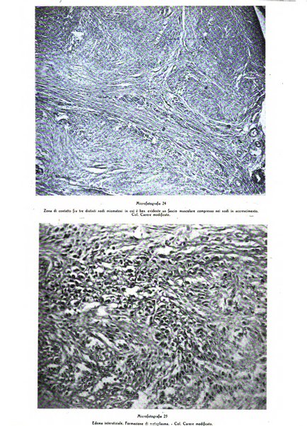 Pathologica rivista quindicinale