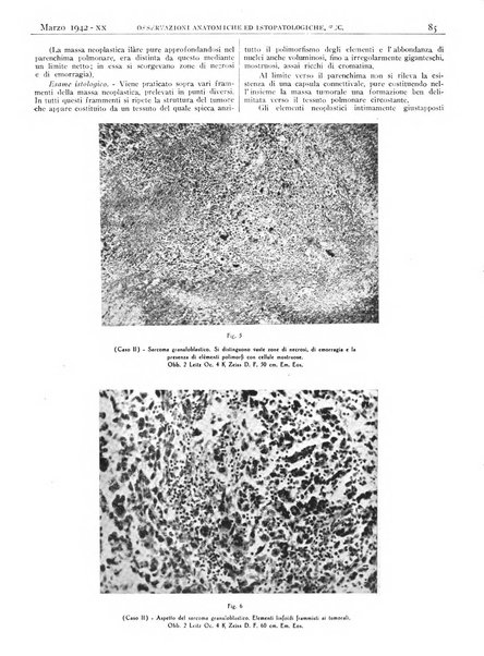 Pathologica rivista quindicinale