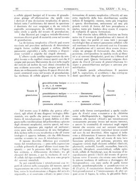 Pathologica rivista quindicinale