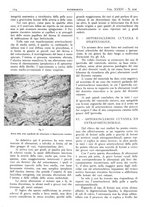 giornale/CFI0361052/1942/unico/00000142