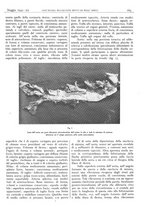 giornale/CFI0361052/1942/unico/00000187