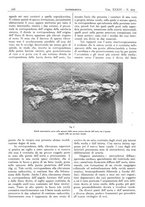 giornale/CFI0361052/1942/unico/00000188