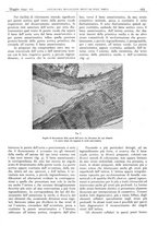 giornale/CFI0361052/1942/unico/00000189