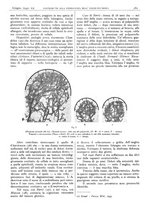 giornale/CFI0361052/1942/unico/00000205