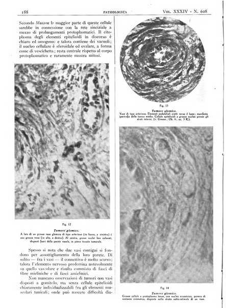 Pathologica rivista quindicinale