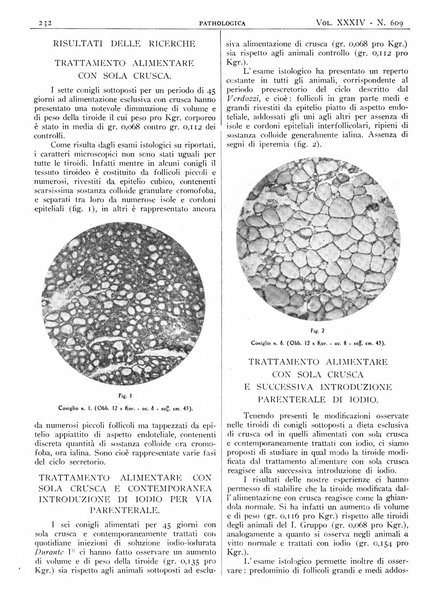 Pathologica rivista quindicinale