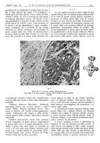 giornale/CFI0361052/1942/unico/00000275