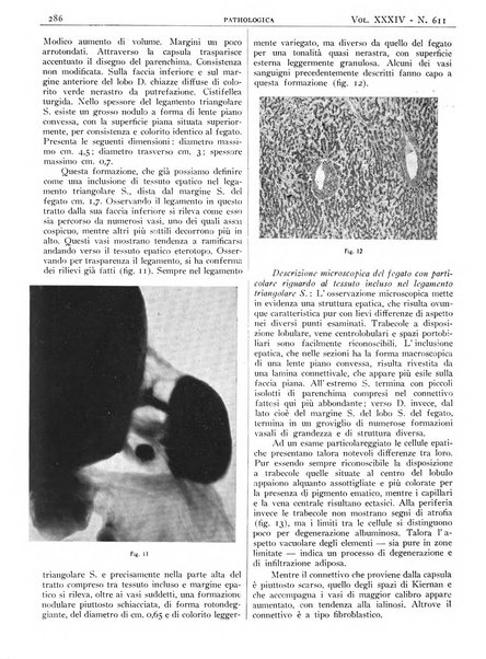 Pathologica rivista quindicinale