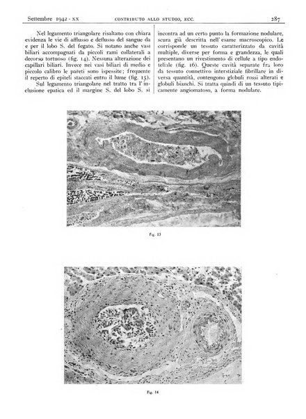 Pathologica rivista quindicinale