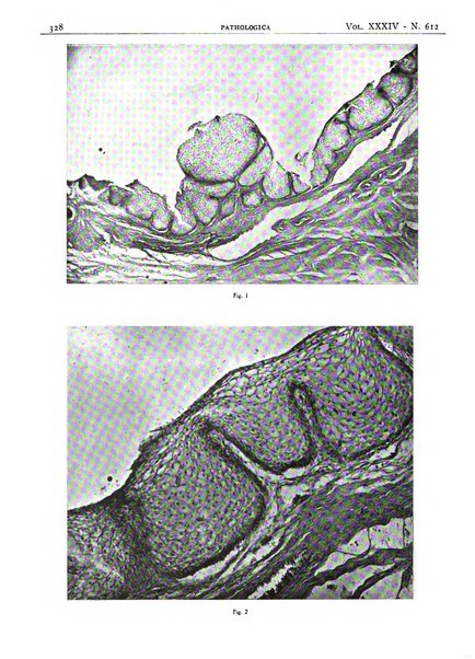 Pathologica rivista quindicinale