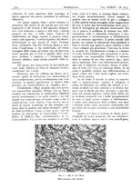 giornale/CFI0361052/1942/unico/00000418