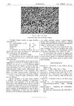 giornale/CFI0361052/1942/unico/00000420