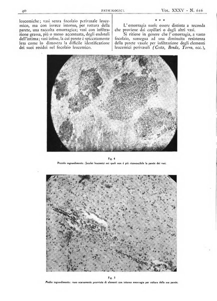 Pathologica rivista quindicinale