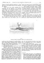 giornale/CFI0361052/1943/unico/00000053