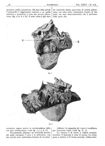 Pathologica rivista quindicinale