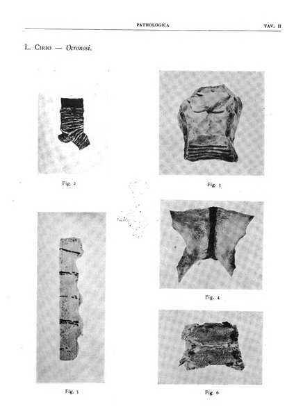 Pathologica rivista quindicinale