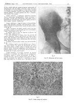 giornale/CFI0361052/1943/unico/00000073