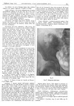 giornale/CFI0361052/1943/unico/00000077